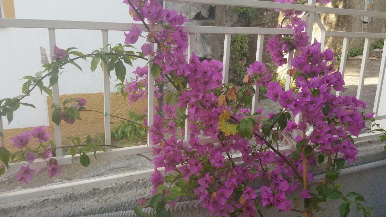 Il Pergolato Villa Bari Sardo Eksteriør billede